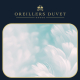 Oreillers Duvet