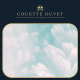 Couette Duvet